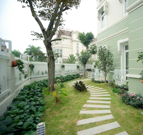Mua hay không đất thóp hậu?