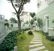 Mua hay không đất thóp hậu?